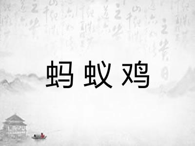 蚂蚁鸡