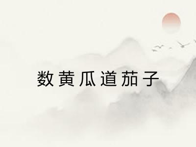 数黄瓜道茄子