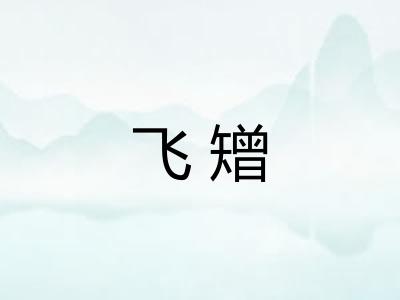 飞矰