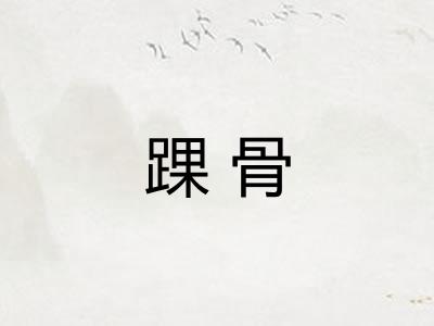 踝骨