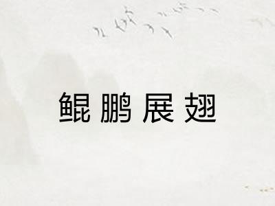 鲲鹏展翅