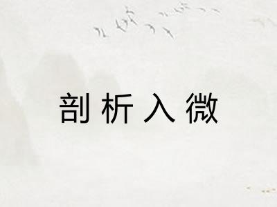 剖析入微