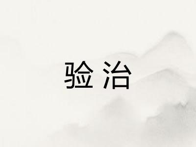 验治