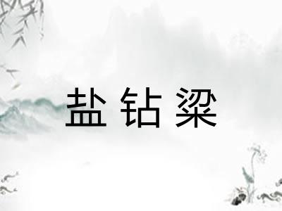 盐钻粱