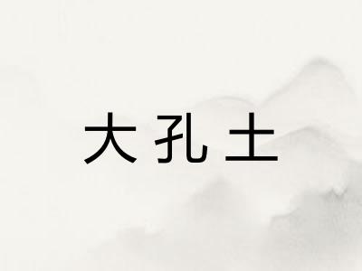 大孔土