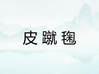 皮蹴毱