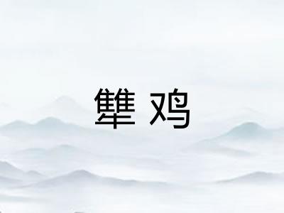 犨鸡