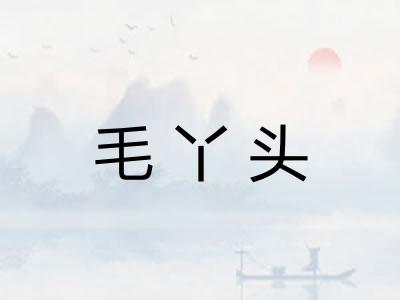 毛丫头