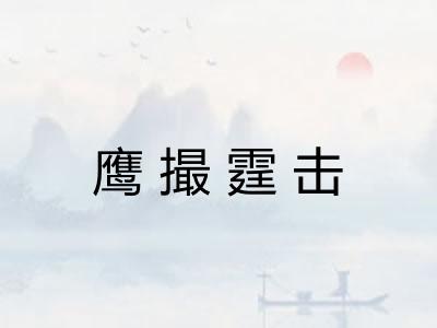 鹰撮霆击