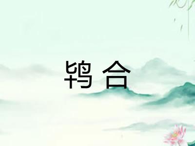 鸨合