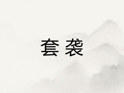 套袭