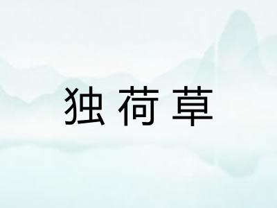 独荷草