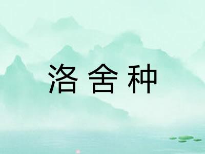 洛舍种