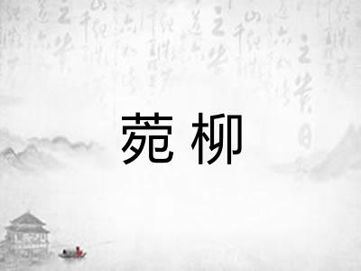 菀柳
