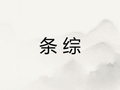 条综