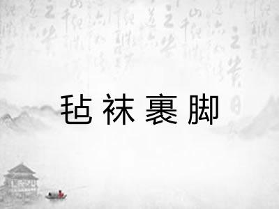 毡袜裹脚