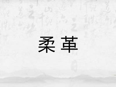 柔革
