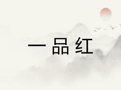 一品红