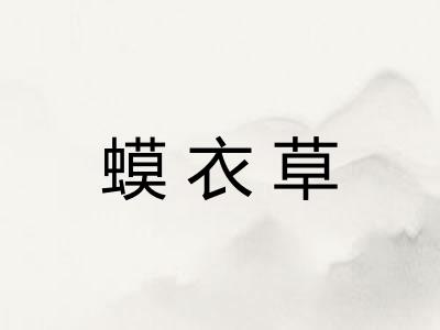 蟆衣草