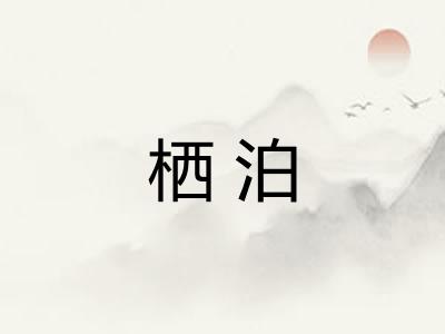 栖泊