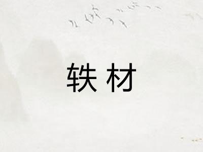 轶材