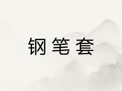钢笔套