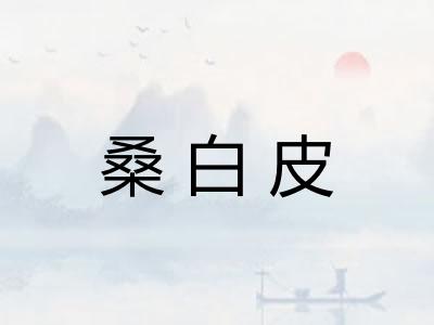 桑白皮