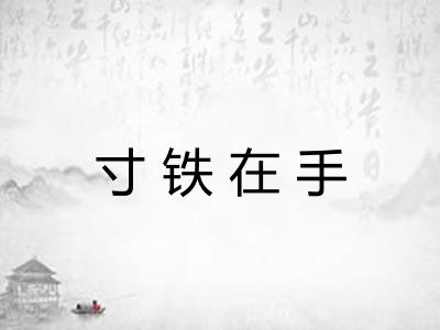 寸铁在手
