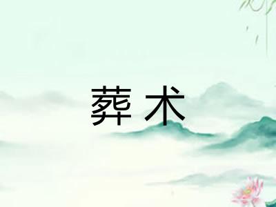 葬术
