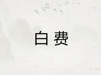 白费