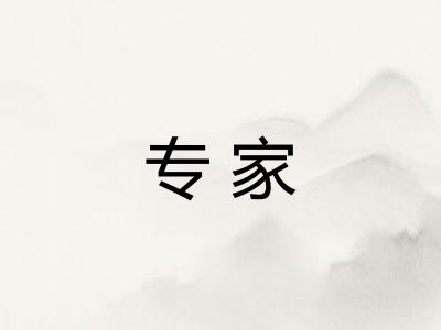 专家