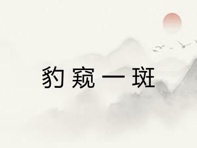 豹窥一斑