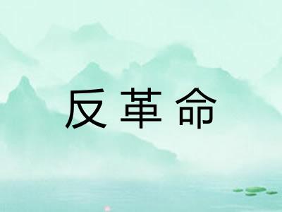 反革命