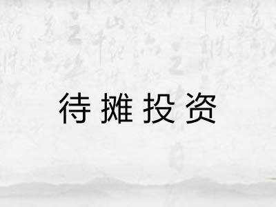 待摊投资