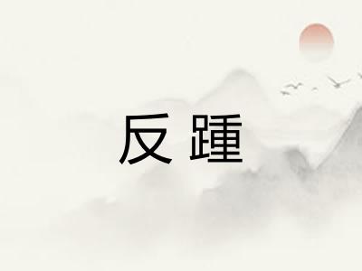 反踵