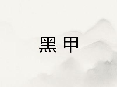 黑甲