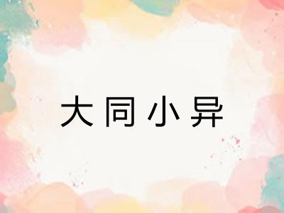 大同小异