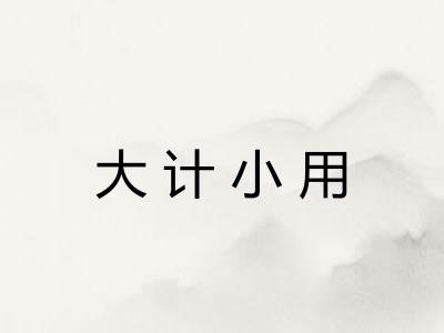 大计小用
