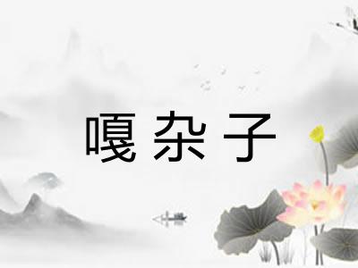 嘎杂子