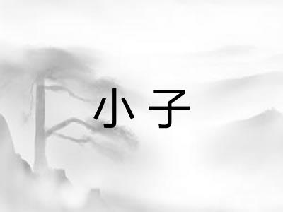 小子