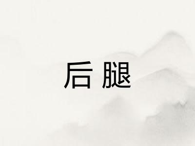 后腿