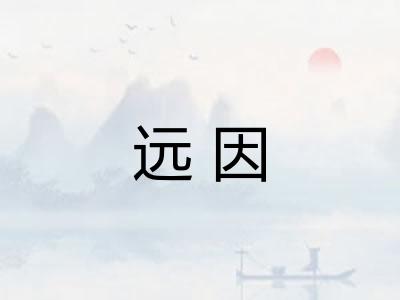 远因