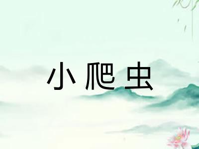 小爬虫