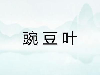 豌豆叶