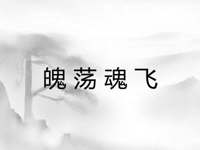 魄荡魂飞