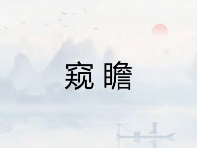窥瞻