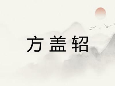 方盖轺