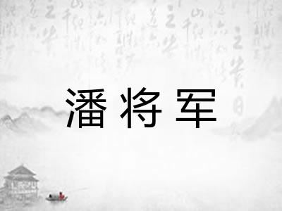 潘将军