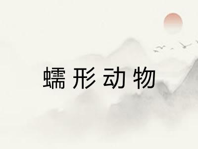 蠕形动物