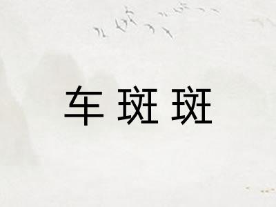 车斑斑